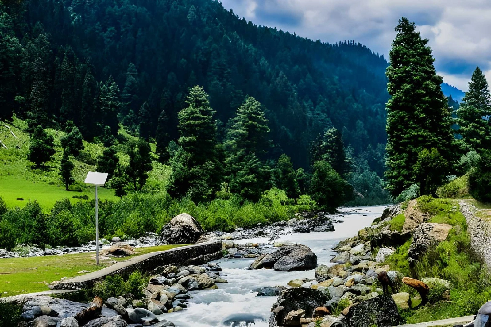 Pahalgam Valley View