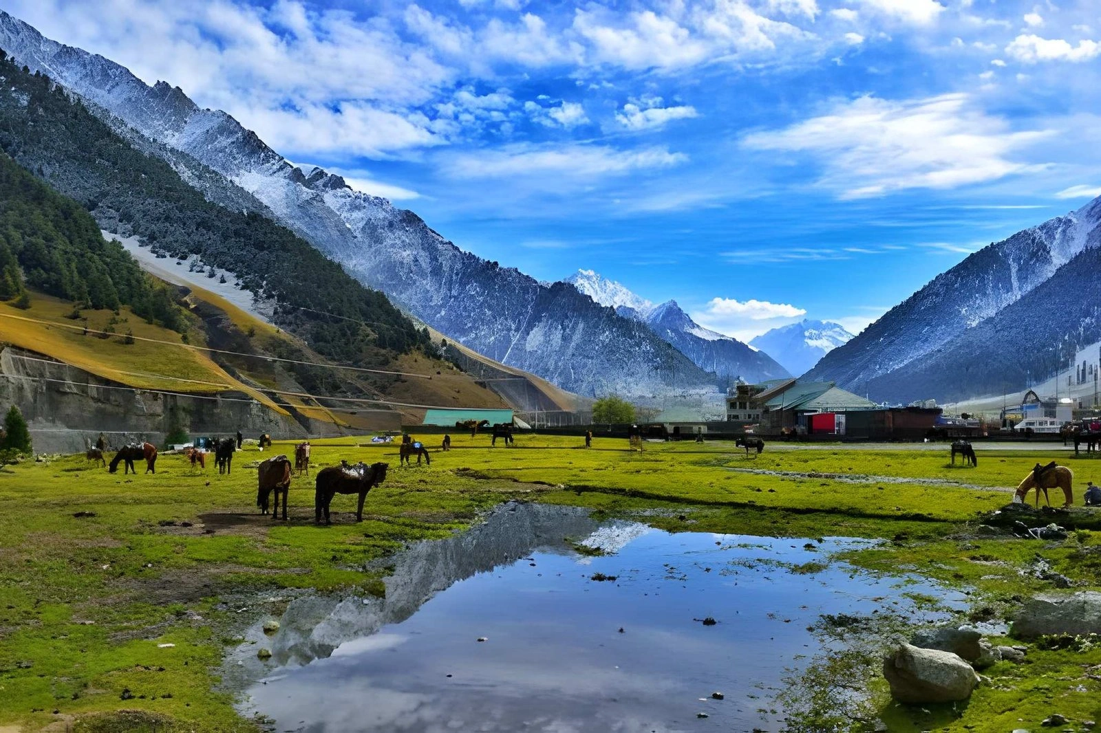 Pahalgam Betaab Valley Nature Walk