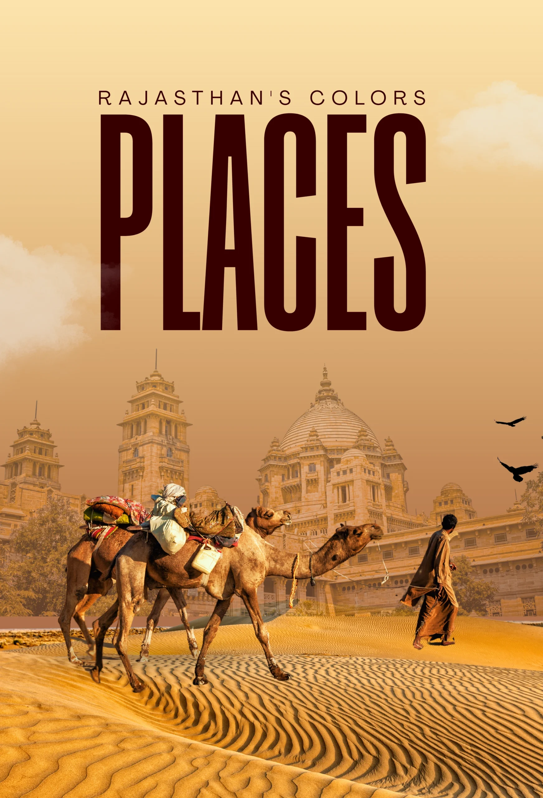 Premium Rajasthan Heritage Experience