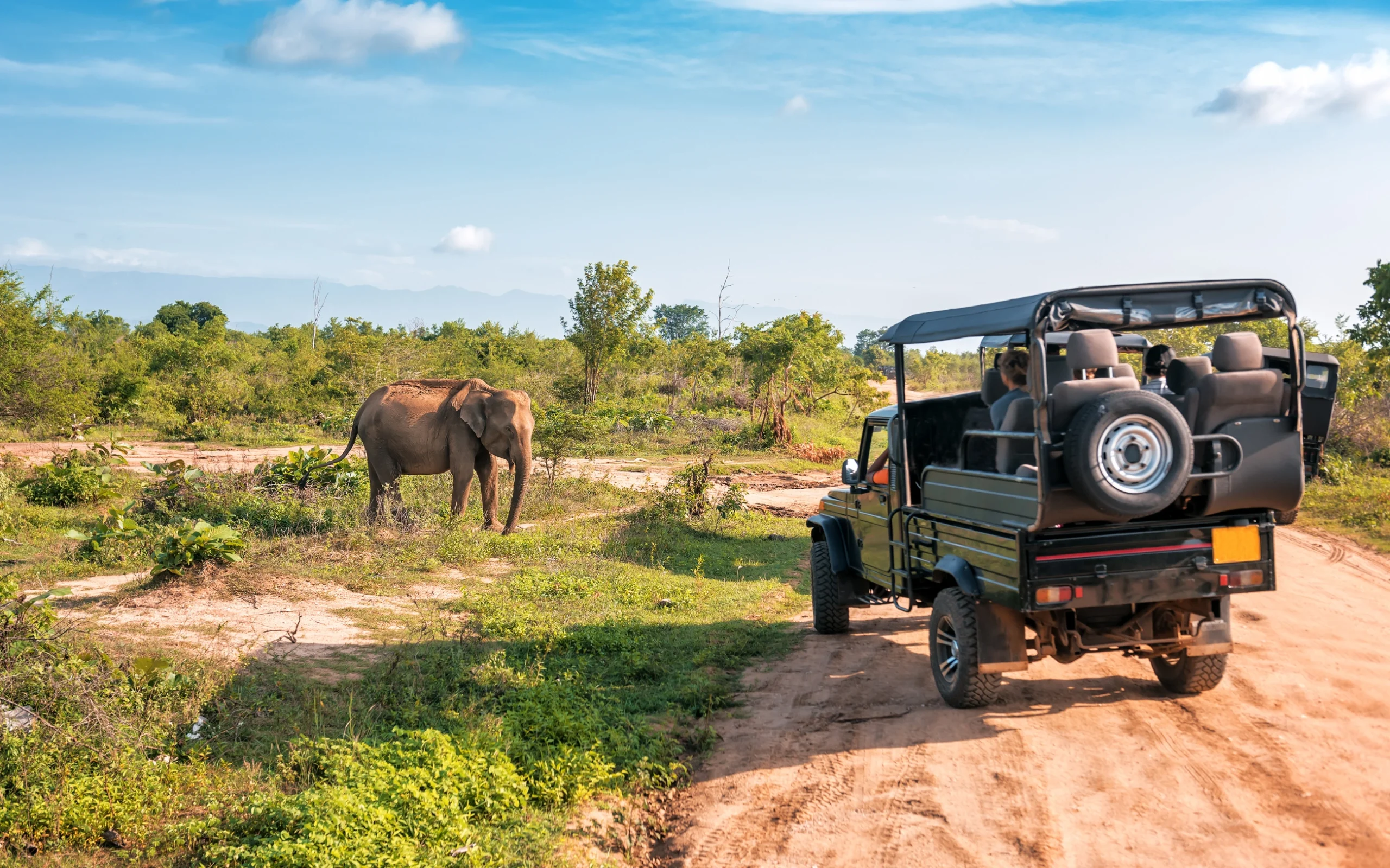 Jim Corbett Wildlife Jeep Safari