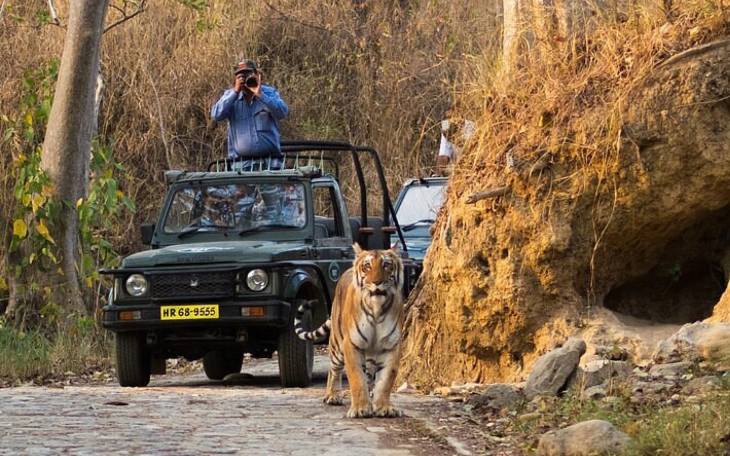 Jim Corbett Wildlife Circuit