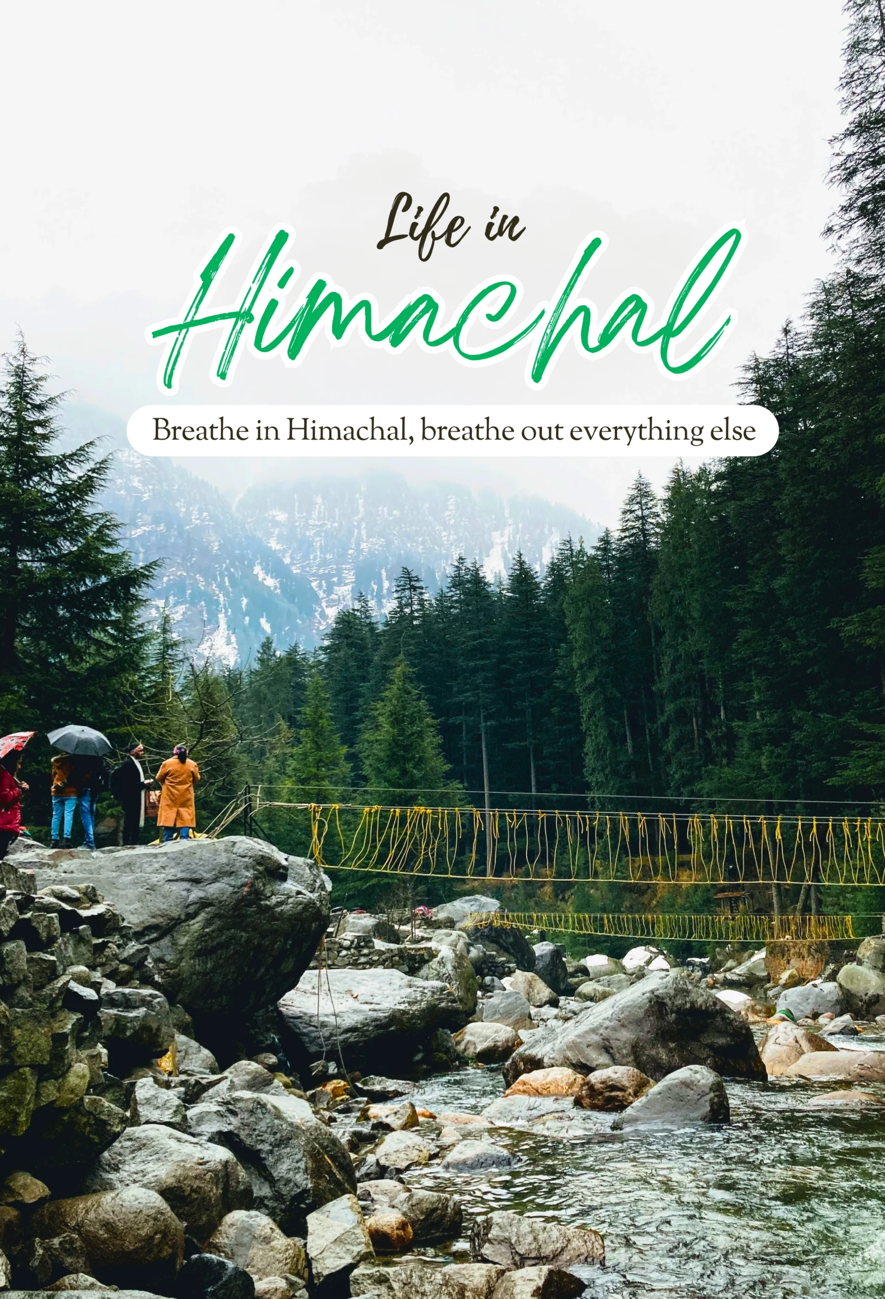Premium Himachal Hills Experience