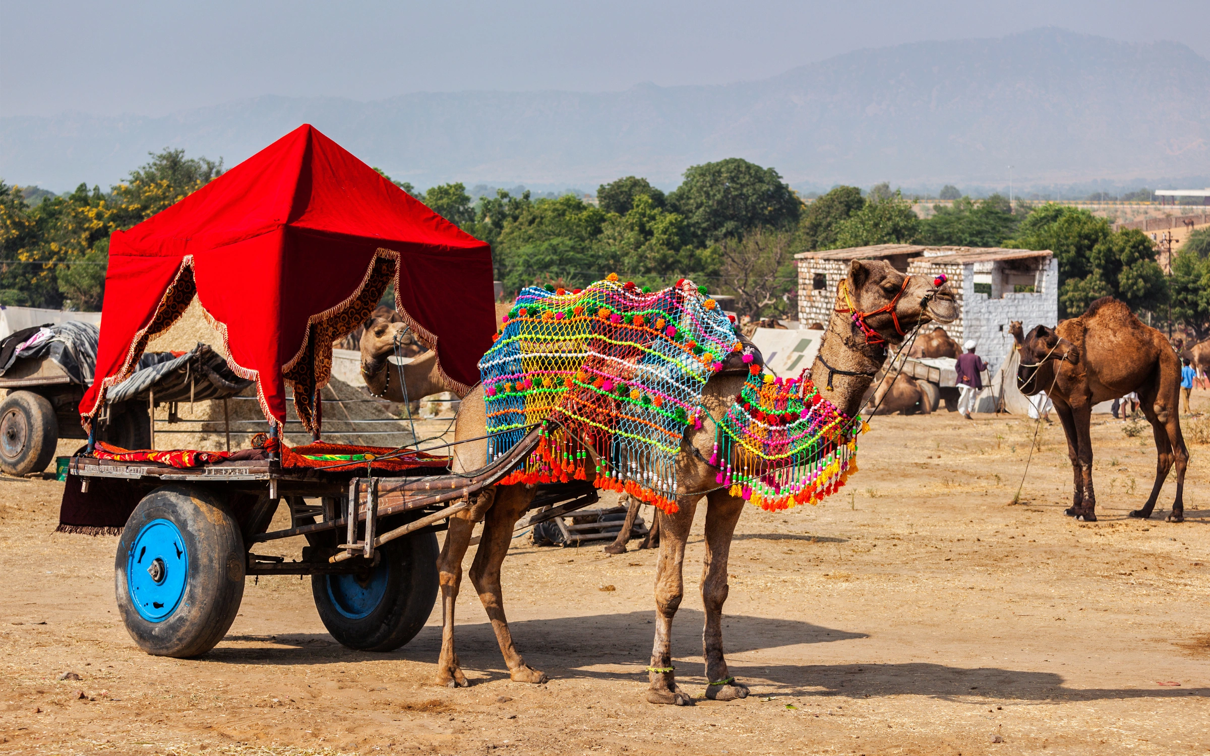 Pushkar Holy Town Combo